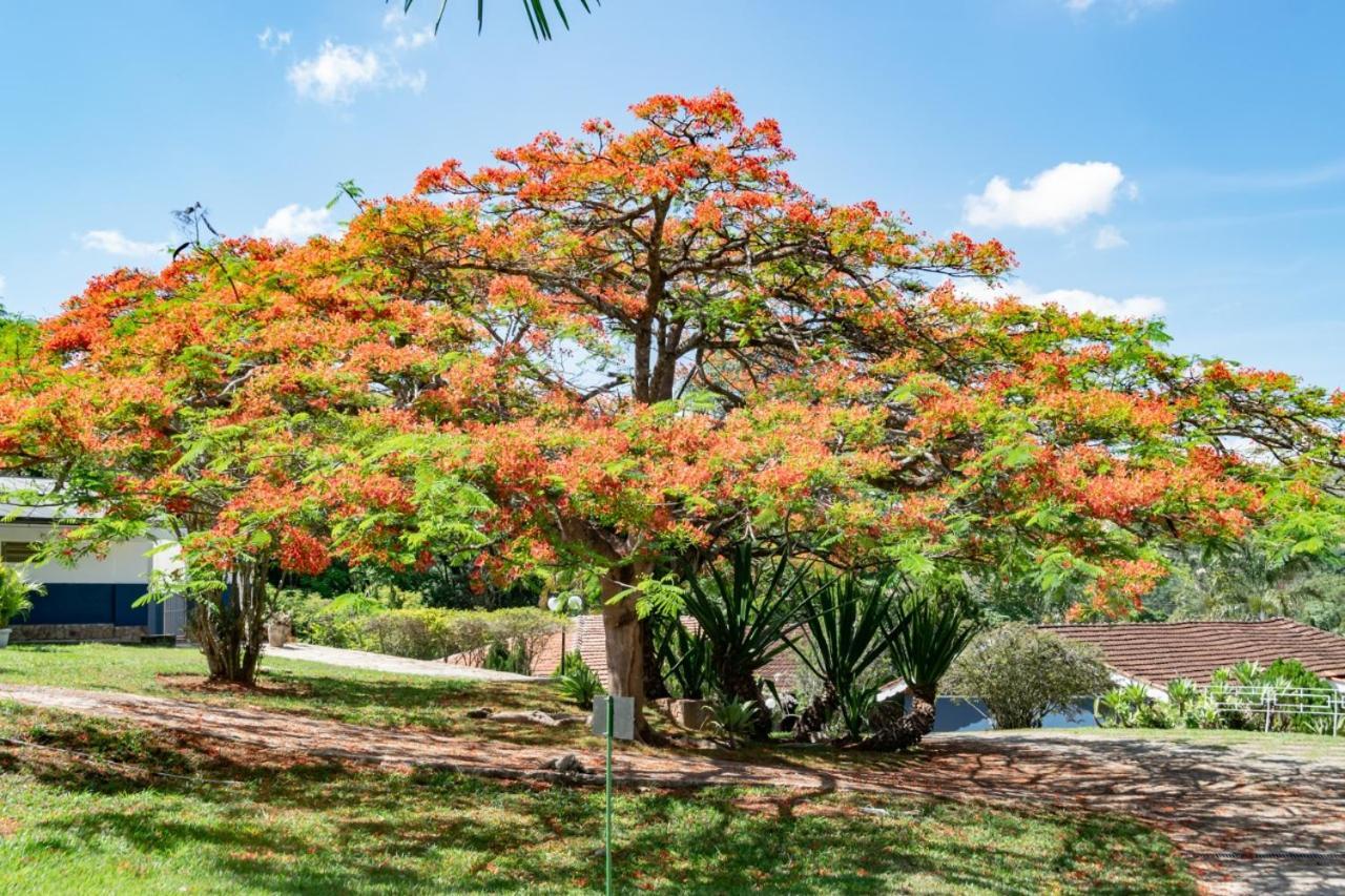 Villa Do Sossego Pousada Lindóia Екстериор снимка